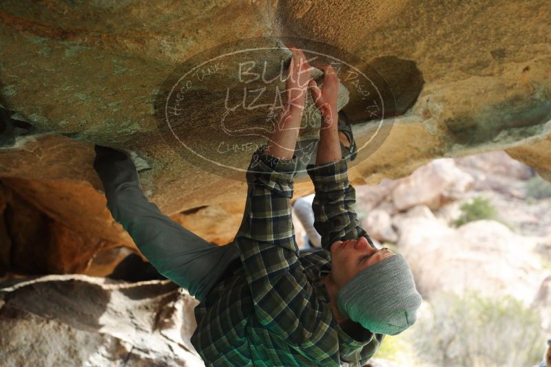 

Filename: SRM_20180312_0954520.jpg
Aperture: f/4.0
Shutter Speed: 1/1000
Body: Canon EOS-1D Mark II
Lens: Canon EF 50mm f/1.8 II