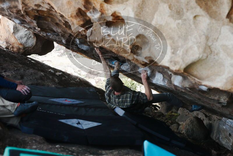 

Filename: SRM_20180312_1252461.jpg
Aperture: f/4.0
Shutter Speed: 1/800
Body: Canon EOS-1D Mark II
Lens: Canon EF 50mm f/1.8 II