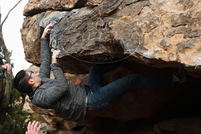 

Filename: SRM_20180312_0948310.jpg
Aperture: f/4.0
Shutter Speed: 1/640
Body: Canon EOS-1D Mark II
Lens: Canon EF 50mm f/1.8 II