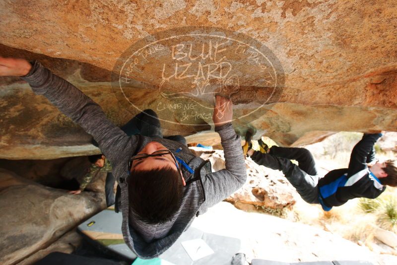 

Filename: SRM_20180312_1026140.jpg
Aperture: f/5.6
Shutter Speed: 1/400
Body: Canon EOS-1D Mark II
Lens: Canon EF 16-35mm f/2.8 L