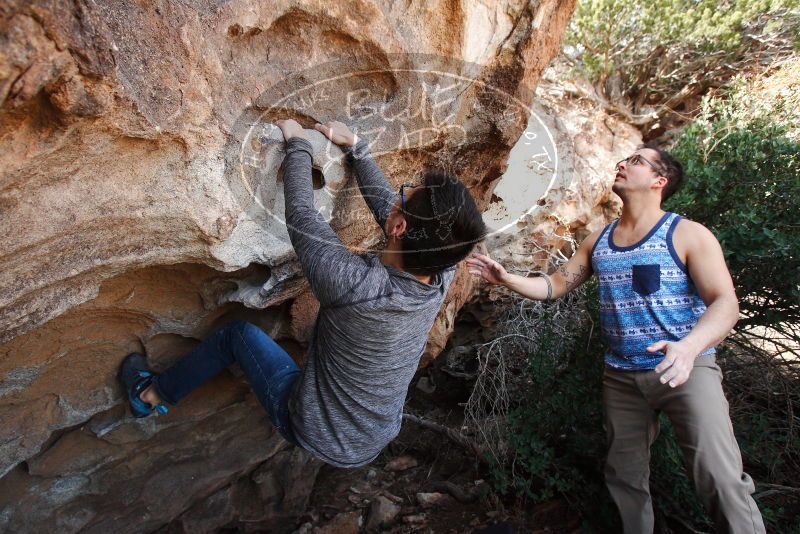 

Filename: SRM_20180312_1241510.jpg
Aperture: f/5.6
Shutter Speed: 1/400
Body: Canon EOS-1D Mark II
Lens: Canon EF 16-35mm f/2.8 L