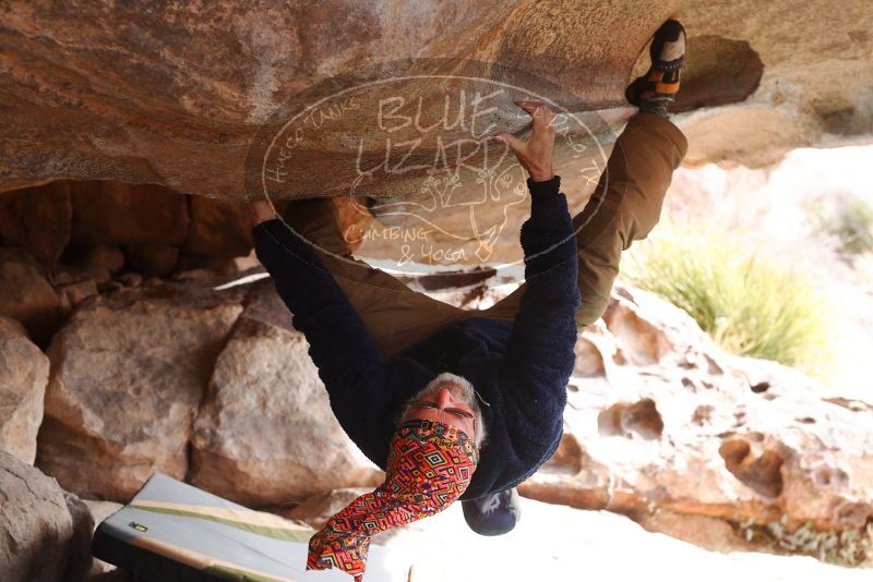 

Filename: SRM_20180312_1012270.jpg
Aperture: f/4.0
Shutter Speed: 1/800
Body: Canon EOS-1D Mark II
Lens: Canon EF 50mm f/1.8 II