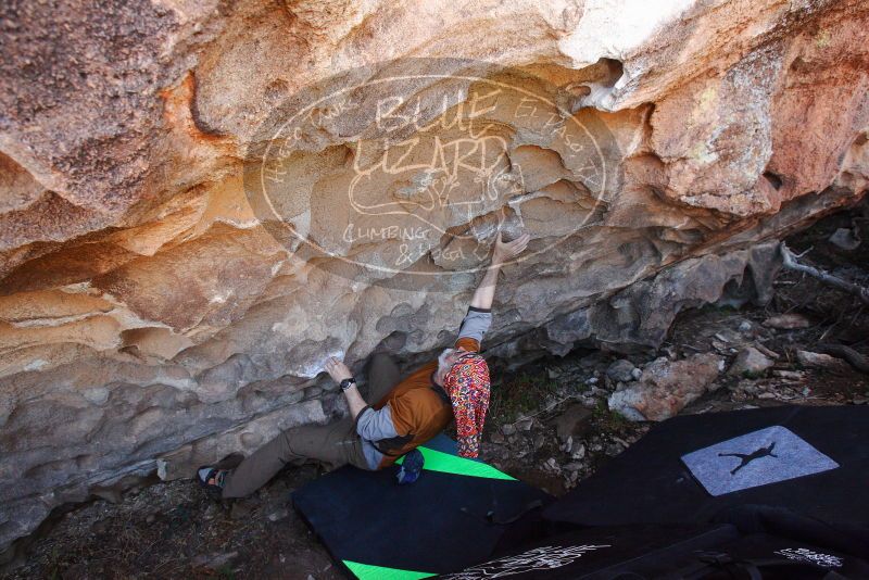 

Filename: SRM_20180312_1212150.jpg
Aperture: f/5.6
Shutter Speed: 1/250
Body: Canon EOS-1D Mark II
Lens: Canon EF 16-35mm f/2.8 L