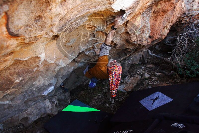 

Filename: SRM_20180312_1212260.jpg
Aperture: f/5.6
Shutter Speed: 1/250
Body: Canon EOS-1D Mark II
Lens: Canon EF 16-35mm f/2.8 L