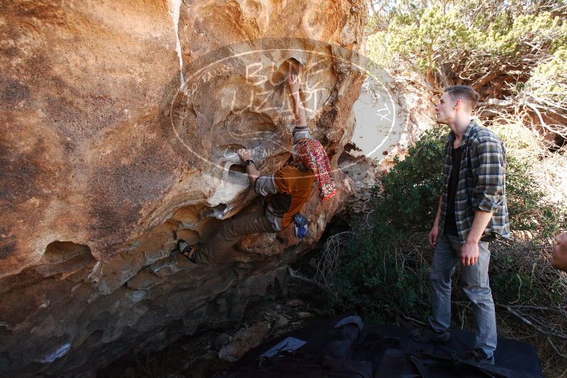 

Filename: SRM_20180312_1213280.jpg
Aperture: f/5.6
Shutter Speed: 1/640
Body: Canon EOS-1D Mark II
Lens: Canon EF 16-35mm f/2.8 L