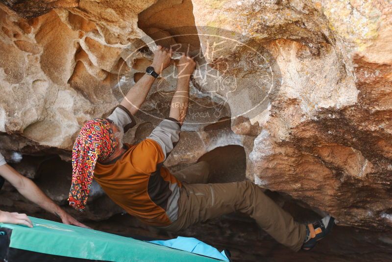 

Filename: SRM_20180312_1257120.jpg
Aperture: f/4.0
Shutter Speed: 1/640
Body: Canon EOS-1D Mark II
Lens: Canon EF 50mm f/1.8 II