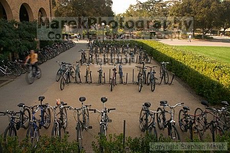 

Filename: crw_1987_std.jpg
Aperture: f/20.0
Shutter Speed: 1/15
Body: Canon EOS DIGITAL REBEL
Lens: Canon EF-S 18-55mm f/3.5-5.6