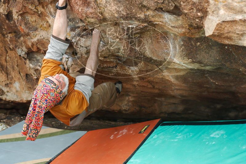 

Filename: SRM_20180312_1359020.jpg
Aperture: f/4.0
Shutter Speed: 1/400
Body: Canon EOS-1D Mark II
Lens: Canon EF 50mm f/1.8 II