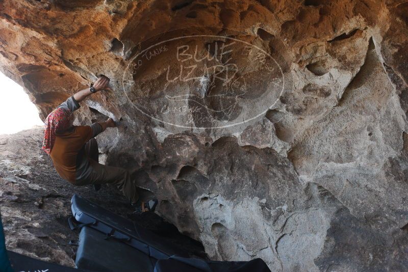 

Filename: SRM_20180312_1545271.jpg
Aperture: f/4.0
Shutter Speed: 1/500
Body: Canon EOS-1D Mark II
Lens: Canon EF 50mm f/1.8 II