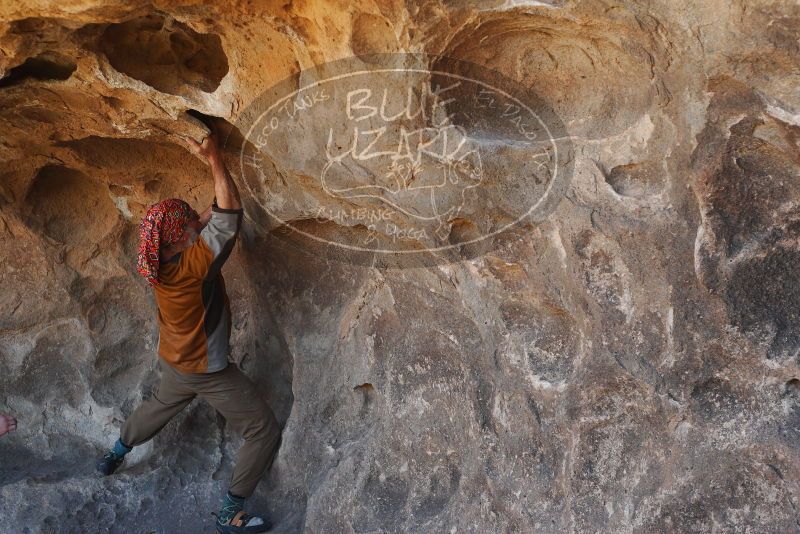 

Filename: SRM_20180312_1558110.jpg
Aperture: f/4.0
Shutter Speed: 1/400
Body: Canon EOS-1D Mark II
Lens: Canon EF 50mm f/1.8 II