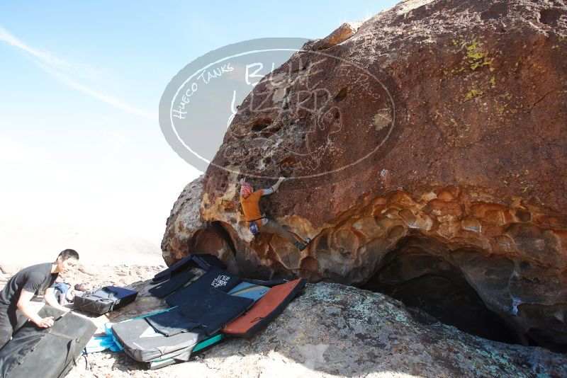 

Filename: SRM_20180312_1614060.jpg
Aperture: f/4.0
Shutter Speed: 1/1000
Body: Canon EOS-1D Mark II
Lens: Canon EF 16-35mm f/2.8 L