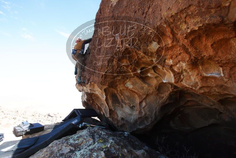 

Filename: SRM_20180312_1614200.jpg
Aperture: f/4.0
Shutter Speed: 1/1000
Body: Canon EOS-1D Mark II
Lens: Canon EF 16-35mm f/2.8 L