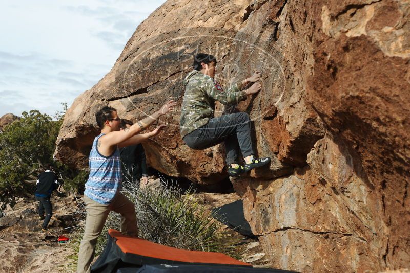 

Filename: SRM_20180312_0921390.jpg
Aperture: f/4.0
Shutter Speed: 1/2500
Body: Canon EOS-1D Mark II
Lens: Canon EF 50mm f/1.8 II