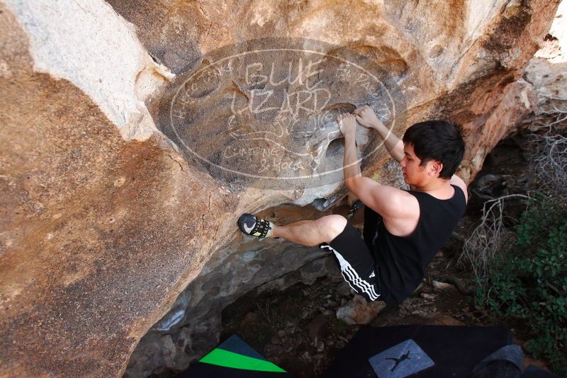 

Filename: SRM_20180312_1228520.jpg
Aperture: f/5.6
Shutter Speed: 1/400
Body: Canon EOS-1D Mark II
Lens: Canon EF 16-35mm f/2.8 L