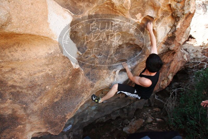 

Filename: SRM_20180312_1228540.jpg
Aperture: f/5.6
Shutter Speed: 1/500
Body: Canon EOS-1D Mark II
Lens: Canon EF 16-35mm f/2.8 L