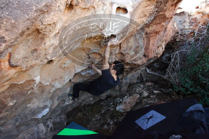 

Filename: SRM_20180312_1214480.jpg
Aperture: f/5.6
Shutter Speed: 1/320
Body: Canon EOS-1D Mark II
Lens: Canon EF 16-35mm f/2.8 L