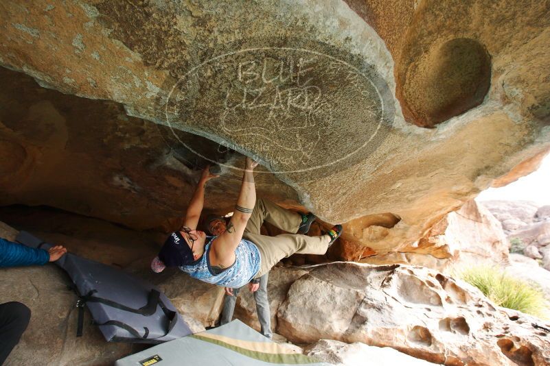 

Filename: SRM_20180312_1021130.jpg
Aperture: f/5.6
Shutter Speed: 1/250
Body: Canon EOS-1D Mark II
Lens: Canon EF 16-35mm f/2.8 L