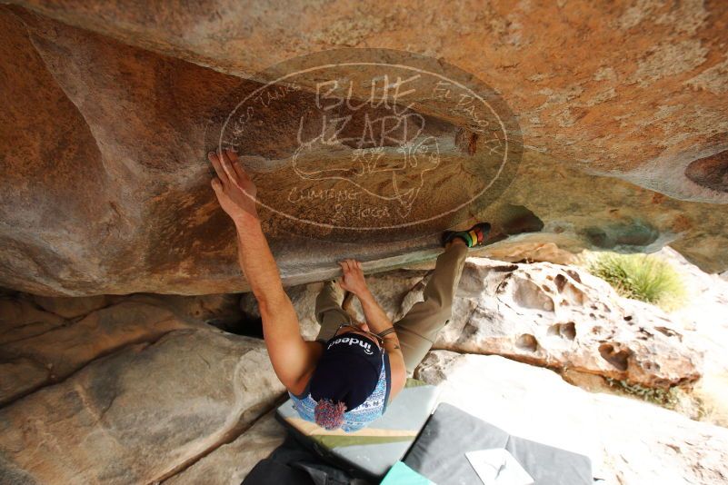 

Filename: SRM_20180312_1021490.jpg
Aperture: f/5.6
Shutter Speed: 1/400
Body: Canon EOS-1D Mark II
Lens: Canon EF 16-35mm f/2.8 L