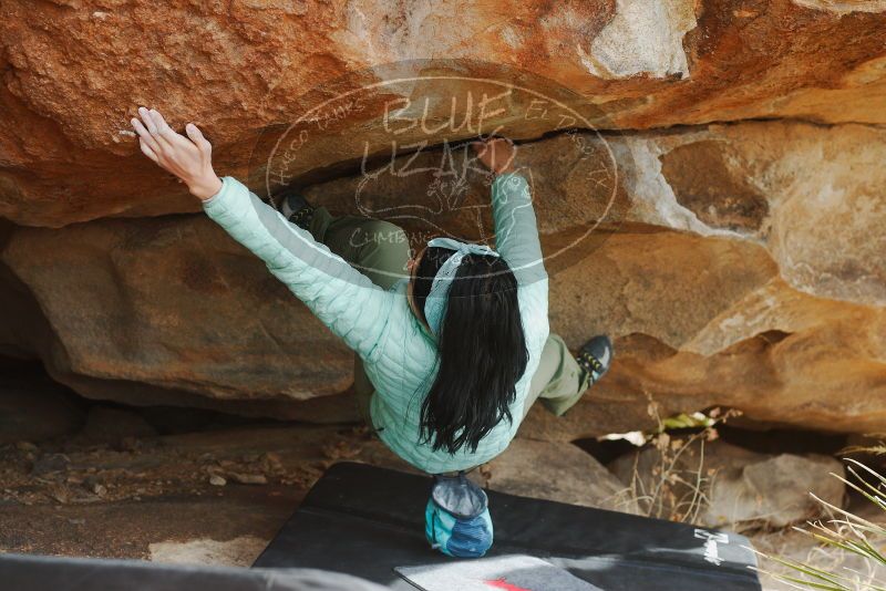 

Filename: SRM_20180312_0943221.jpg
Aperture: f/4.0
Shutter Speed: 1/400
Body: Canon EOS-1D Mark II
Lens: Canon EF 50mm f/1.8 II