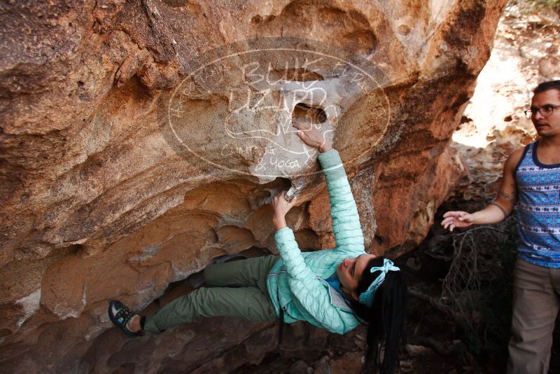 

Filename: SRM_20180312_1243570.jpg
Aperture: f/5.6
Shutter Speed: 1/640
Body: Canon EOS-1D Mark II
Lens: Canon EF 16-35mm f/2.8 L