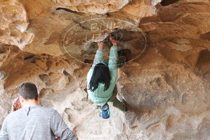 

Filename: SRM_20180312_1534520.jpg
Aperture: f/4.0
Shutter Speed: 1/250
Body: Canon EOS-1D Mark II
Lens: Canon EF 50mm f/1.8 II