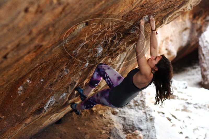 

Filename: SRM_20180315_1405260.jpg
Aperture: f/3.2
Shutter Speed: 1/250
Body: Canon EOS-1D Mark II
Lens: Canon EF 85mm f/1.2 L II