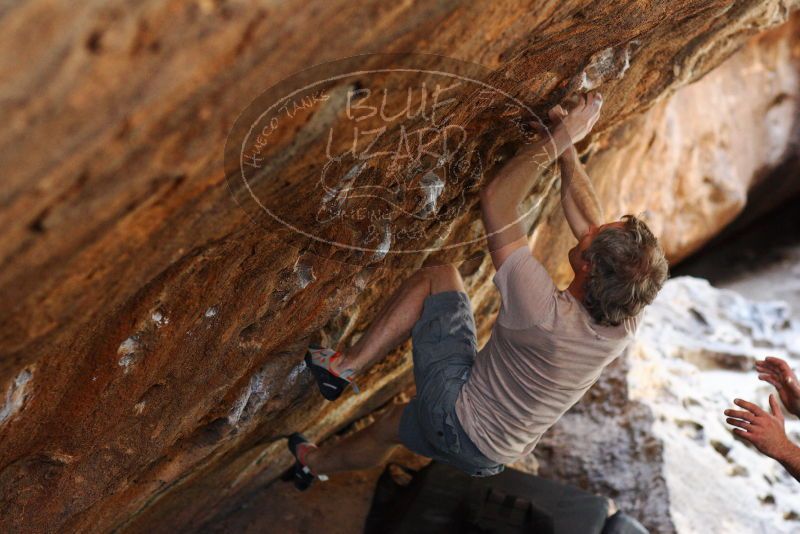 

Filename: SRM_20180315_1419120.jpg
Aperture: f/3.2
Shutter Speed: 1/250
Body: Canon EOS-1D Mark II
Lens: Canon EF 85mm f/1.2 L II