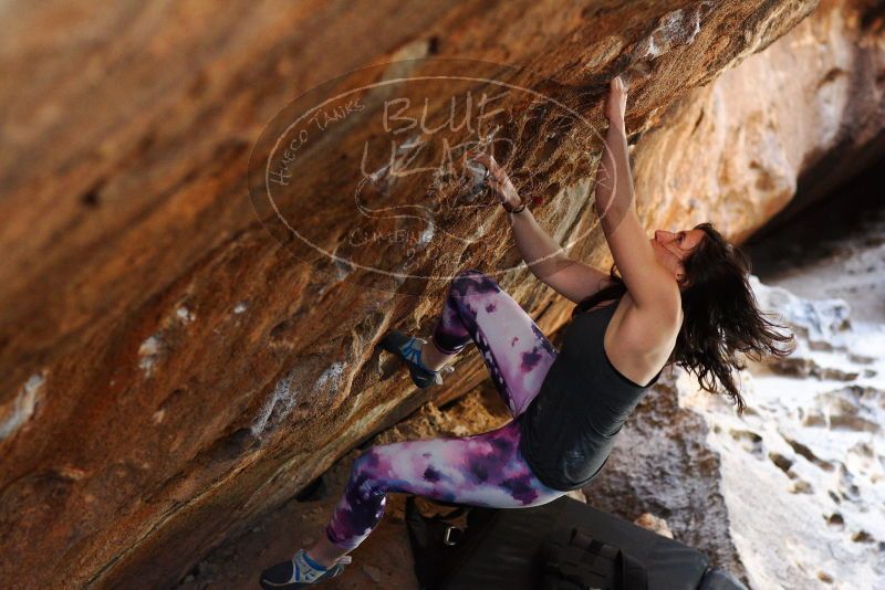 

Filename: SRM_20180315_1420541.jpg
Aperture: f/3.2
Shutter Speed: 1/250
Body: Canon EOS-1D Mark II
Lens: Canon EF 85mm f/1.2 L II