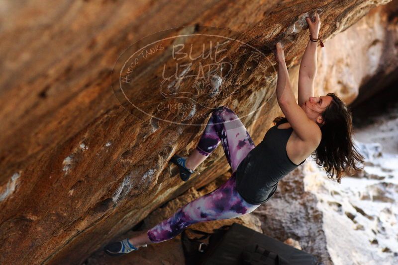 

Filename: SRM_20180315_1420552.jpg
Aperture: f/3.2
Shutter Speed: 1/250
Body: Canon EOS-1D Mark II
Lens: Canon EF 85mm f/1.2 L II