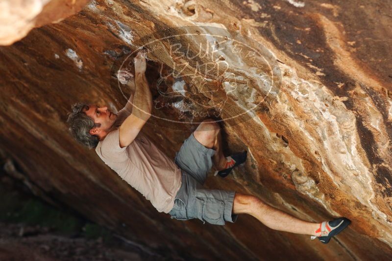 

Filename: SRM_20180315_1426370.jpg
Aperture: f/2.5
Shutter Speed: 1/250
Body: Canon EOS-1D Mark II
Lens: Canon EF 85mm f/1.2 L II