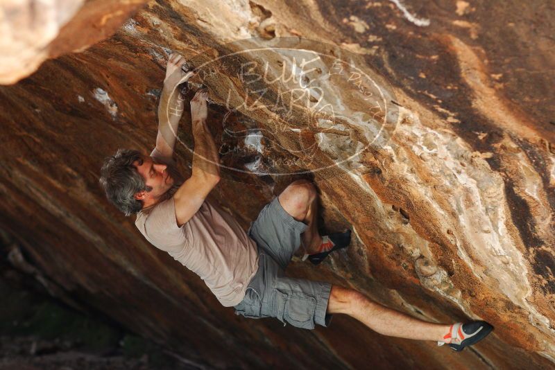 

Filename: SRM_20180315_1426371.jpg
Aperture: f/2.8
Shutter Speed: 1/250
Body: Canon EOS-1D Mark II
Lens: Canon EF 85mm f/1.2 L II