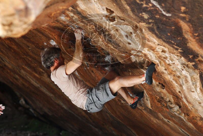 

Filename: SRM_20180315_1441390.jpg
Aperture: f/2.5
Shutter Speed: 1/250
Body: Canon EOS-1D Mark II
Lens: Canon EF 85mm f/1.2 L II