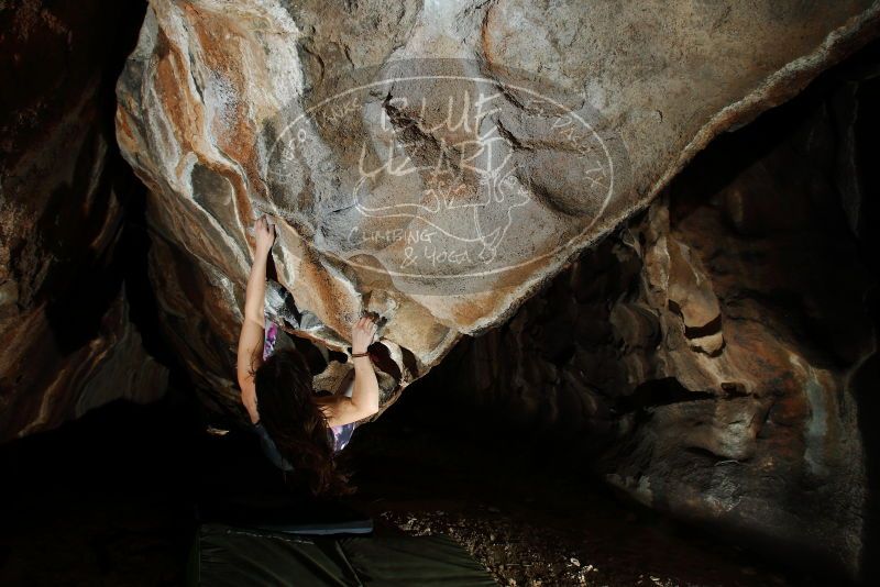 

Filename: SRM_20180315_1459150.jpg
Aperture: f/8.0
Shutter Speed: 1/250
Body: Canon EOS-1D Mark II
Lens: Canon EF 16-35mm f/2.8 L