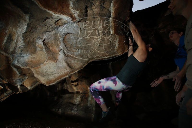 

Filename: SRM_20180315_1505510.jpg
Aperture: f/8.0
Shutter Speed: 1/250
Body: Canon EOS-1D Mark II
Lens: Canon EF 16-35mm f/2.8 L