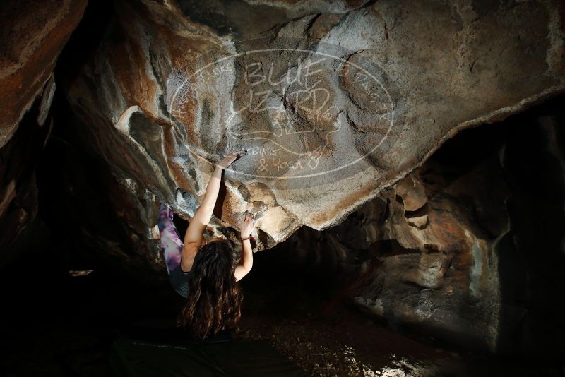 

Filename: SRM_20180315_1536510.jpg
Aperture: f/8.0
Shutter Speed: 1/250
Body: Canon EOS-1D Mark II
Lens: Canon EF 16-35mm f/2.8 L