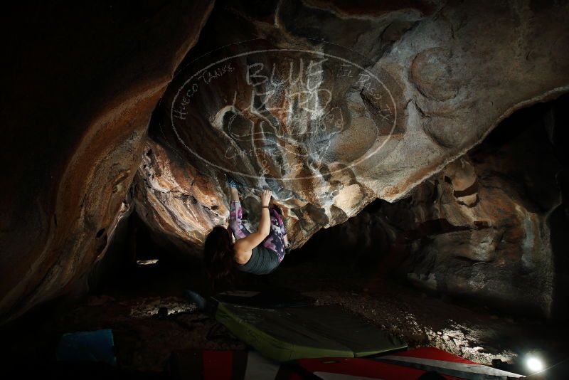 

Filename: SRM_20180315_1548290.jpg
Aperture: f/8.0
Shutter Speed: 1/250
Body: Canon EOS-1D Mark II
Lens: Canon EF 16-35mm f/2.8 L