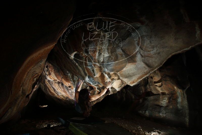 

Filename: SRM_20180315_1548360.jpg
Aperture: f/8.0
Shutter Speed: 1/250
Body: Canon EOS-1D Mark II
Lens: Canon EF 16-35mm f/2.8 L