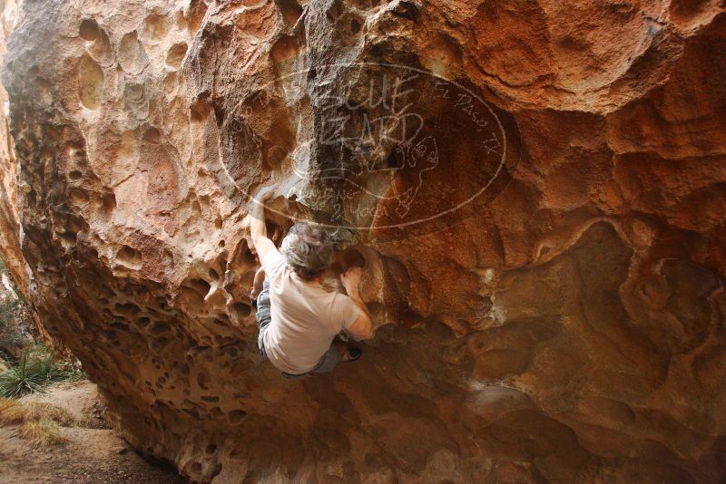 

Filename: SRM_20180315_1611510.jpg
Aperture: f/4.0
Shutter Speed: 1/200
Body: Canon EOS-1D Mark II
Lens: Canon EF 16-35mm f/2.8 L