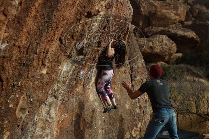 

Filename: SRM_20180315_1725000.jpg
Aperture: f/4.0
Shutter Speed: 1/500
Body: Canon EOS-1D Mark II
Lens: Canon EF 50mm f/1.8 II