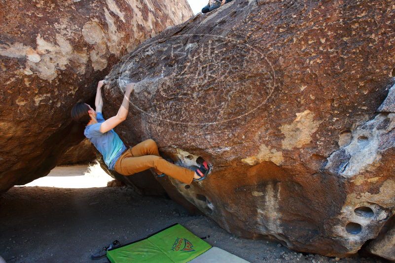 

Filename: SRM_20180329_0929000.jpg
Aperture: f/6.3
Shutter Speed: 1/250
Body: Canon EOS-1D Mark II
Lens: Canon EF 16-35mm f/2.8 L