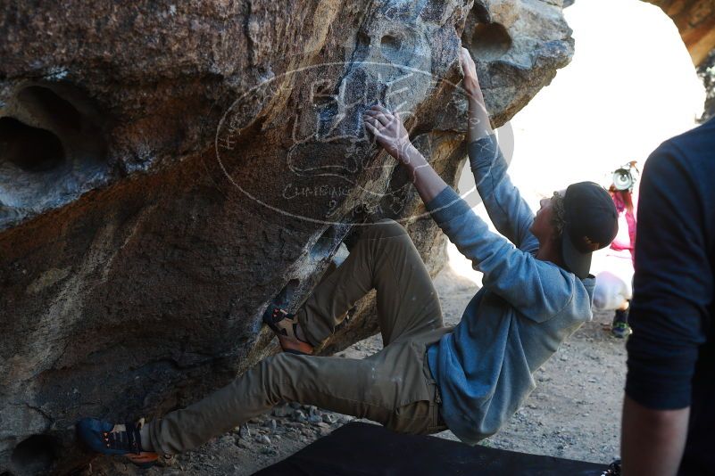 

Filename: SRM_20180329_0947170.jpg
Aperture: f/5.0
Shutter Speed: 1/250
Body: Canon EOS-1D Mark II
Lens: Canon EF 50mm f/1.8 II