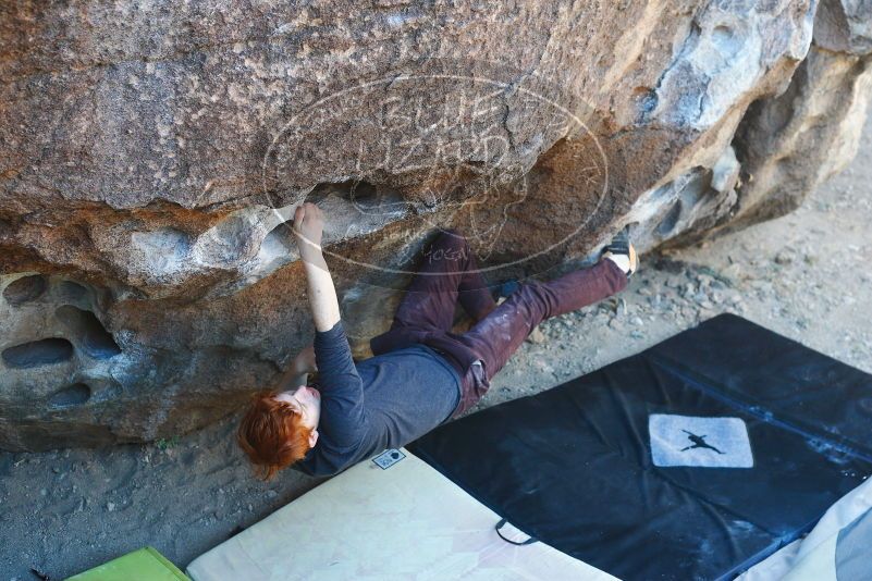 

Filename: SRM_20180329_0949140.jpg
Aperture: f/3.5
Shutter Speed: 1/250
Body: Canon EOS-1D Mark II
Lens: Canon EF 50mm f/1.8 II