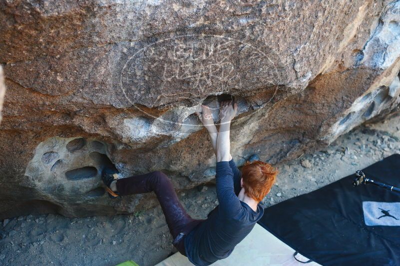 

Filename: SRM_20180329_0950200.jpg
Aperture: f/3.5
Shutter Speed: 1/250
Body: Canon EOS-1D Mark II
Lens: Canon EF 50mm f/1.8 II