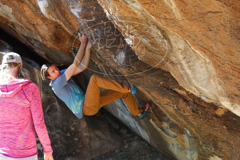 

Filename: SRM_20180329_0955370.jpg
Aperture: f/5.0
Shutter Speed: 1/250
Body: Canon EOS-1D Mark II
Lens: Canon EF 50mm f/1.8 II