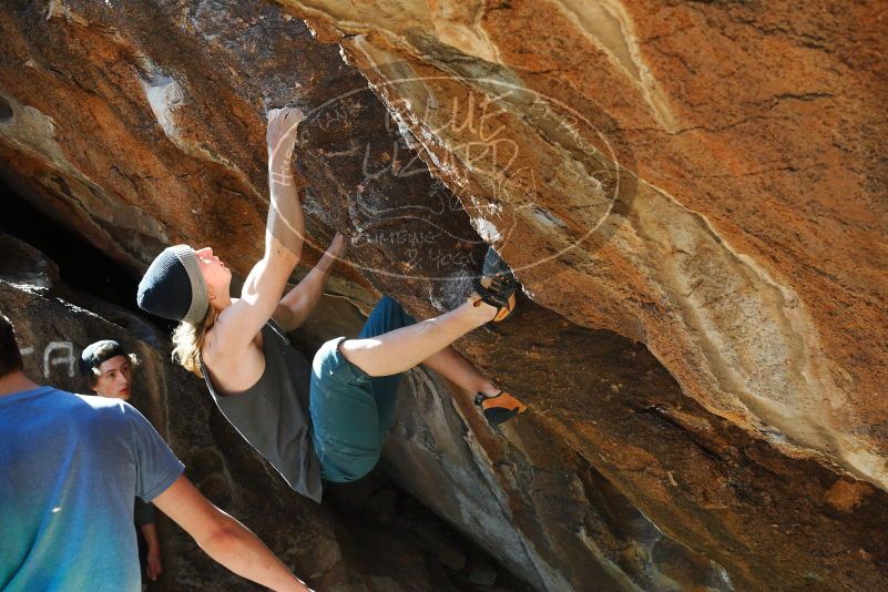 

Filename: SRM_20180329_0957090.jpg
Aperture: f/6.3
Shutter Speed: 1/250
Body: Canon EOS-1D Mark II
Lens: Canon EF 50mm f/1.8 II