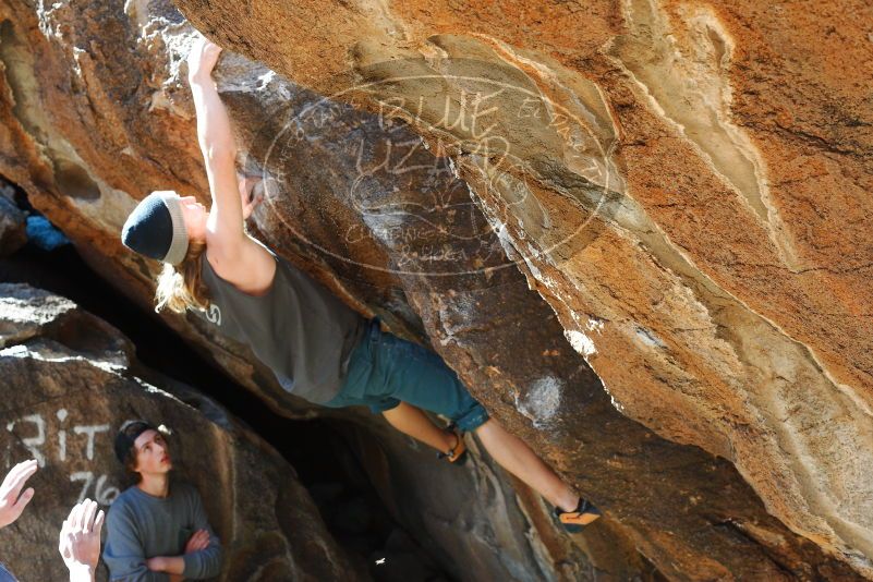 

Filename: SRM_20180329_0957200.jpg
Aperture: f/5.6
Shutter Speed: 1/250
Body: Canon EOS-1D Mark II
Lens: Canon EF 50mm f/1.8 II