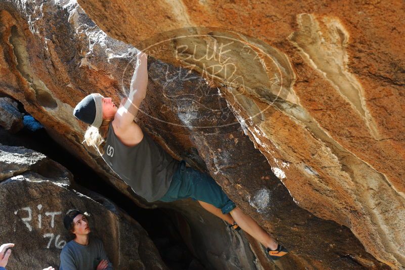 

Filename: SRM_20180329_0957220.jpg
Aperture: f/6.3
Shutter Speed: 1/250
Body: Canon EOS-1D Mark II
Lens: Canon EF 50mm f/1.8 II