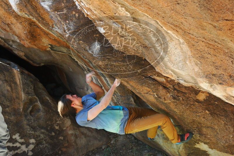 

Filename: SRM_20180329_0958460.jpg
Aperture: f/4.5
Shutter Speed: 1/250
Body: Canon EOS-1D Mark II
Lens: Canon EF 50mm f/1.8 II