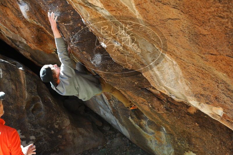 

Filename: SRM_20180329_1003150.jpg
Aperture: f/5.6
Shutter Speed: 1/250
Body: Canon EOS-1D Mark II
Lens: Canon EF 50mm f/1.8 II