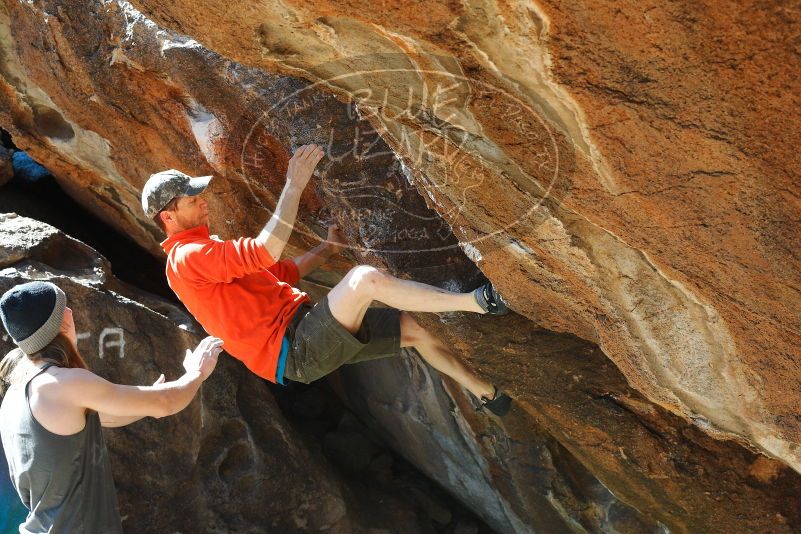 

Filename: SRM_20180329_1004330.jpg
Aperture: f/6.3
Shutter Speed: 1/250
Body: Canon EOS-1D Mark II
Lens: Canon EF 50mm f/1.8 II